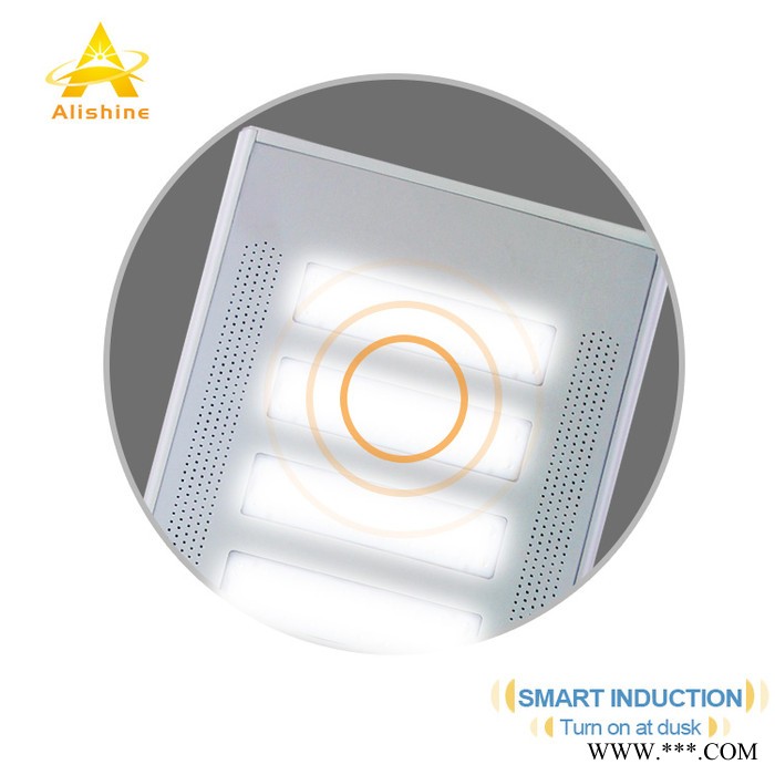 一体化出口太阳能路灯AL-80W 深圳厂家批发 太阳能一体化路灯  非洲太阳能 东南亚太阳能 中东太阳能 欧美太阳能图7