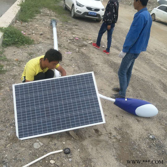 畅园cyzm太阳能LED路灯批发 太阳能路灯报价 太阳能路灯厂家图1