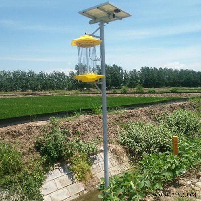 中煤 太阳能杀虫灯  农业太阳能杀虫灯 太阳能杀虫灯型号  太阳能杀虫灯图2