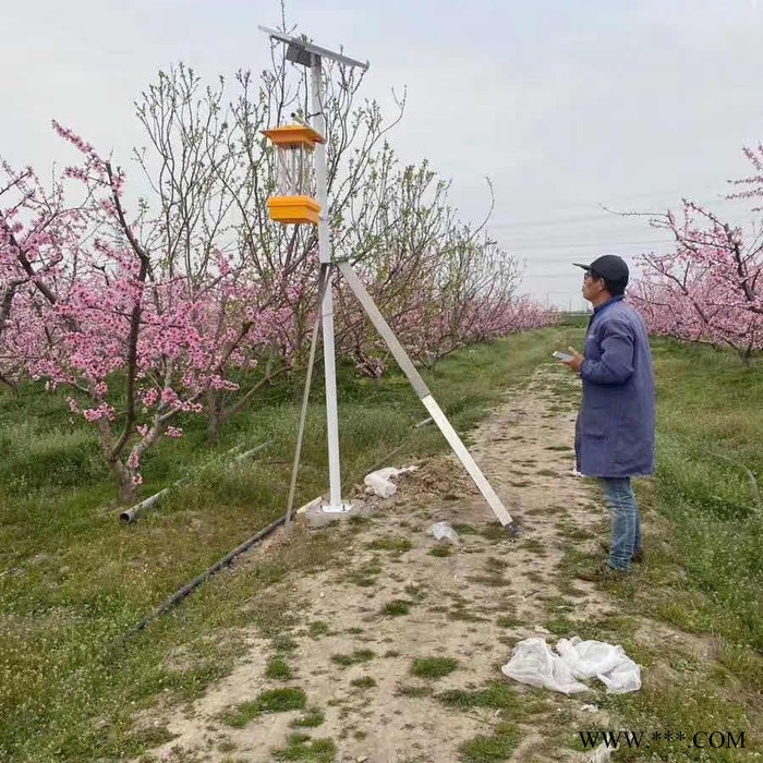 奋钧智能太阳能杀虫灯生产|太阳能杀虫灯品牌|农业用杀虫灯价格 智能太阳能杀虫灯