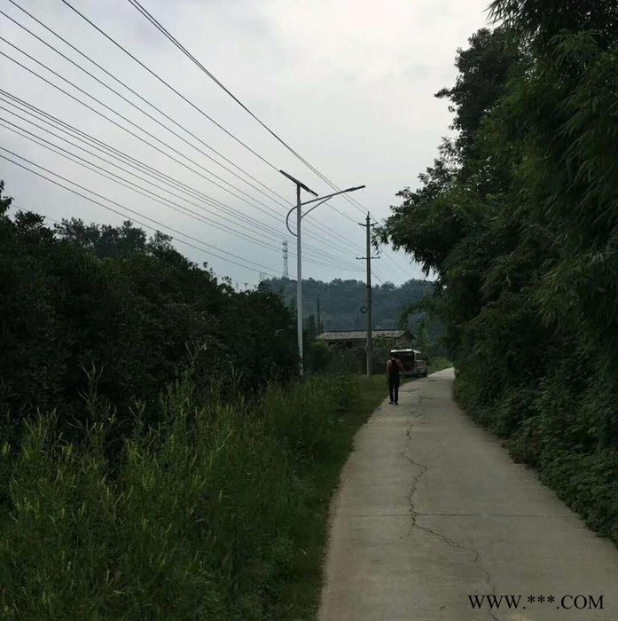 大邑太阳能路灯生产厂家 太阳能路灯厂家图5