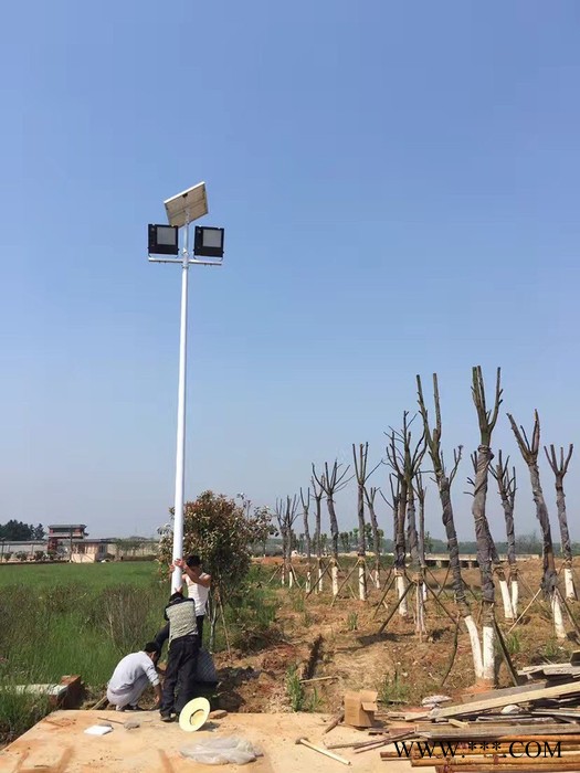 大妙光供应户外LED太阳能路灯 新农村6米太阳能路灯 路灯铝基板 太阳能景观灯图5