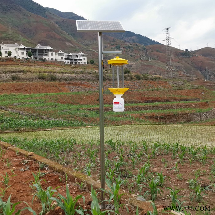 频振式太阳能杀虫灯价格 LED频振式太阳能杀虫灯厂家托普云农图1