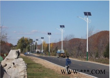 led路灯 太阳能双臂路灯 自弯臂路灯 新农村太阳能 led路灯杆厂家图3