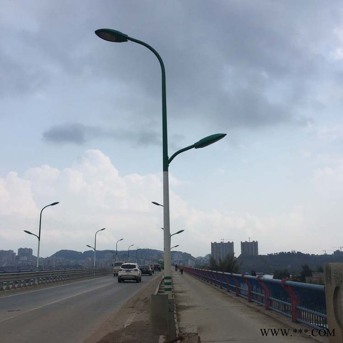 璀璨 LED模组路灯外壳  30W-250WLED模组路灯   外壳厂家 太阳能路灯图2