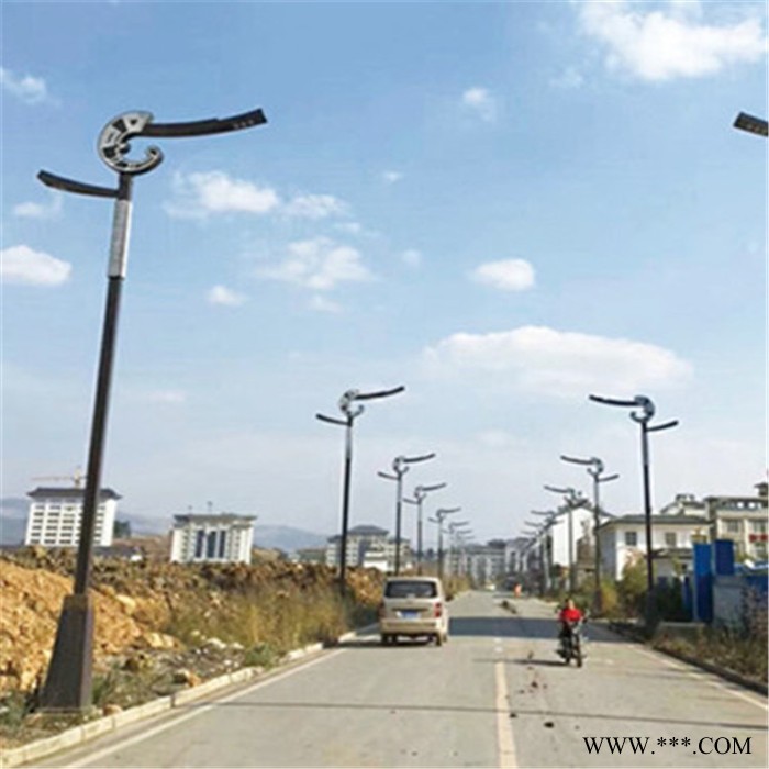 路灯 道路太阳能路灯 智能路灯  品质保证，厂家直供图6