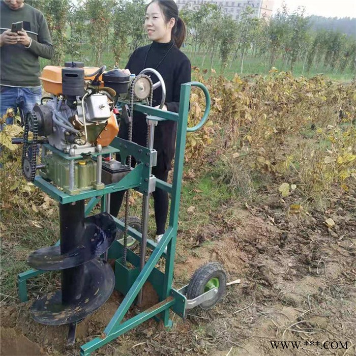 佳鑫机械  大马力植树挖坑机 汽油便携式钻眼机 太阳能路灯杆钻孔机图8