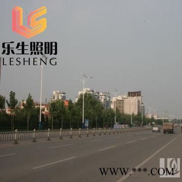 乐生照明led 太阳能路灯市电LED路灯图3