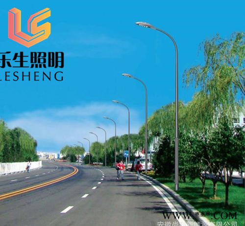 乐生照明led 太阳能路灯市电LED路灯图7