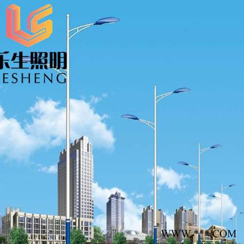 乐生照明led 太阳能路灯市电LED路灯图4