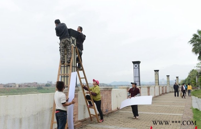 苏州路灯、车间吊灯维修、LED路灯、苏州LED球场灯、苏州LED庭院灯、苏州太阳能草坪灯图3