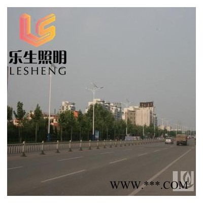 乐生照明led  市电LED路灯 太阳能路灯 高杆灯厂家