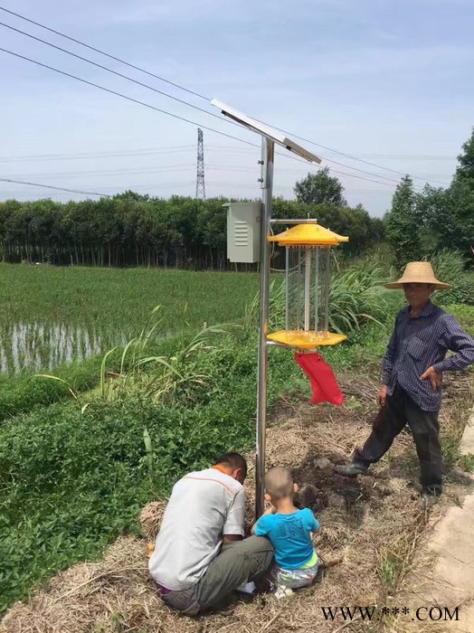 杀虫灯 太阳能杀虫灯 农田杀虫灯