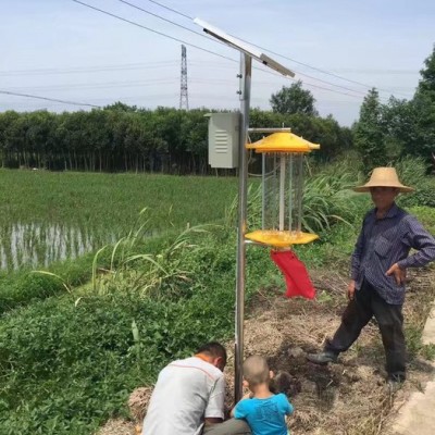 杀虫灯 太阳能杀虫灯 农田杀虫灯