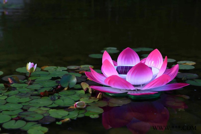 太阳能花灯LED花灯太阳能形花灯LED花形灯太阳能景观灯