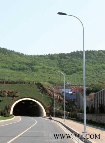 大妙光M-160道路照明灯厂家批发路灯灯杆 高杆灯灯杆 太阳能路灯灯杆 景观柱头路灯灯杆