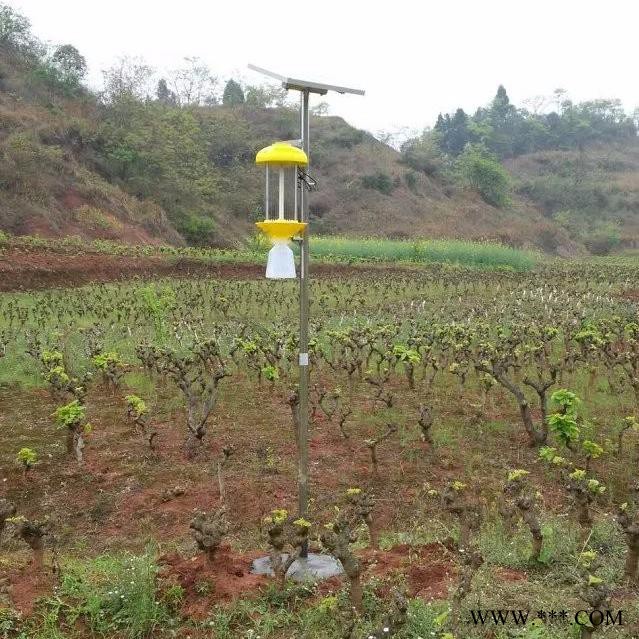 供应比昂BR-T/D-1农用室外太阳能杀虫灯 频振式杀虫灯 价格 年终促销可以优惠 农用室外太阳能杀虫灯价格图2