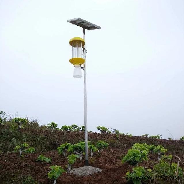 供应比昂BR-T/D-1农用室外太阳能杀虫灯 频振式杀虫灯 价格 年终促销可以优惠 农用室外太阳能杀虫灯价格图5