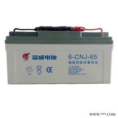 富威蓄电池6-CNJ-38 储能用胶体电池12V38AH交通信号灯 太阳能路灯用