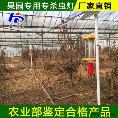 宝迪BD-01 果园杀虫灯生产厂家 太阳能杀虫灯厂家批发 频振式杀虫灯厂家定制