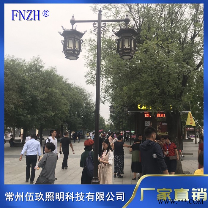 常州FNZH伍玖照明0350110湖北黄石小区园林广场户外绿化特色仿古太阳能不锈钢铝型材防水庭院灯厂家景观路灯批发图3