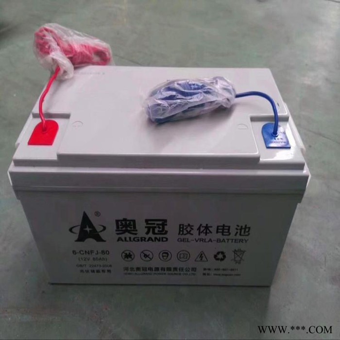 奥冠胶体蓄电池6-CNFJ-24 12V24AH光伏发电太阳能电池 电动轿车专用电池  通讯电源电池 牵引线蓄电池图3