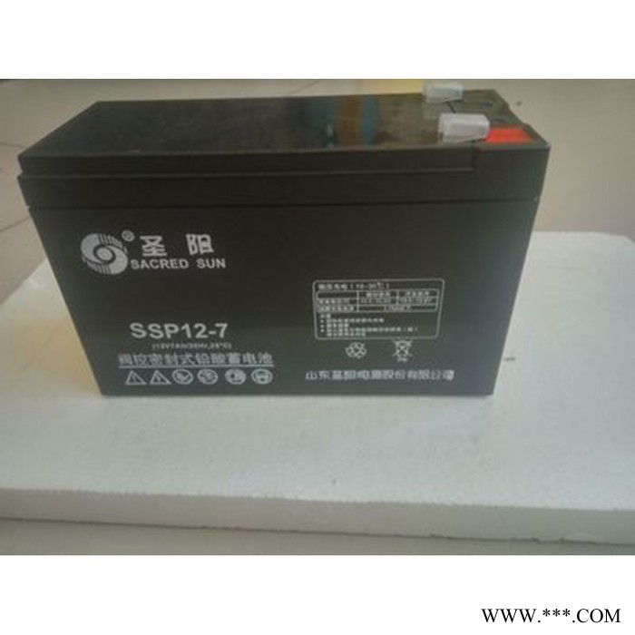 圣阳蓄电池 SP12-65/12V65AH 铅酸免维护蓄电池风能电站 UPS 太阳能蓄电池  胶体蓄电池 现货图3