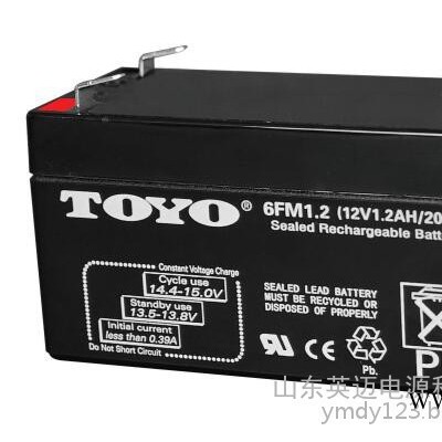 TOYO蓄电池6GFM100东洋免维护蓄电池12V100AH UPS不间断电源专用 TOYO蓄电池报价参数 太阳能蓄电池