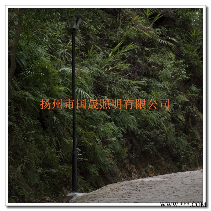 国晟照明GS-W45-H5 路灯 庭院灯道路 太阳能 LED 高杆 草坪 庭院 中华 荷花 节能 农村 高效图2