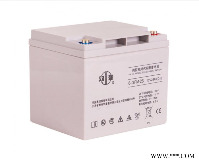 双登蓄电池SDA10-4850铁塔通信基站UPS通讯后备储能48V50AH蓄电池厂家图6