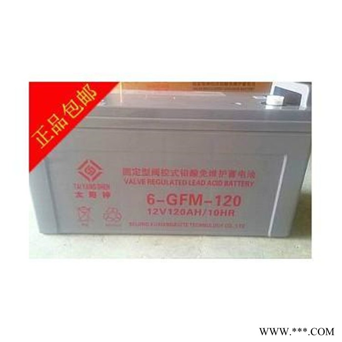 太阳神蓄电池6-GFM-65机房精密仪器不间断应急电源12V65AH蓄电池图3