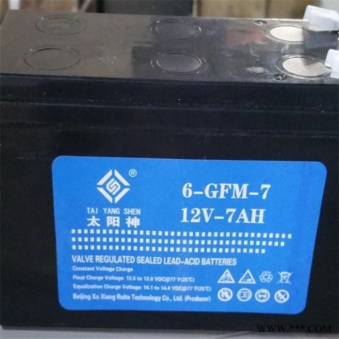 太阳神蓄电池6-GFM-65机房精密仪器不间断应急电源12V65AH蓄电池图6