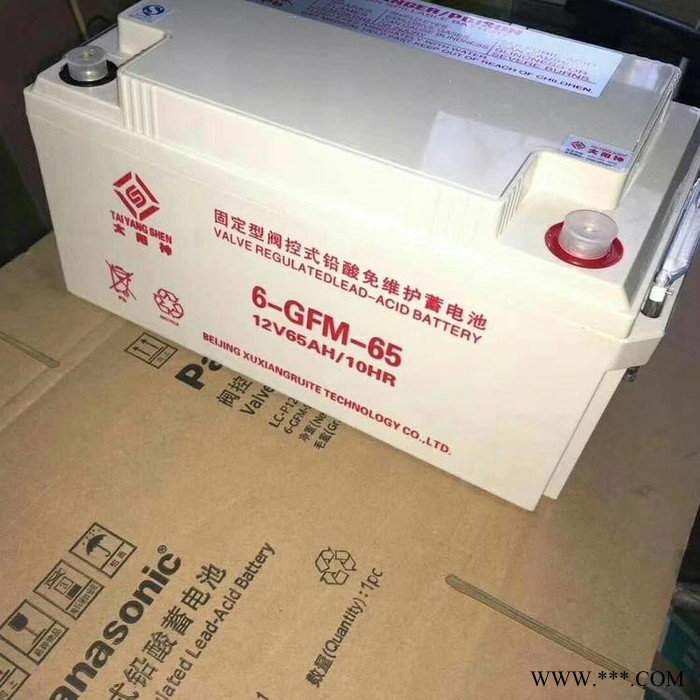 太阳神蓄电池6-GFM-65机房精密仪器不间断应急电源12V65AH蓄电池图7