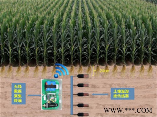 赛亚斯SYM-TDRS 土壤墒情在线监测系统图3