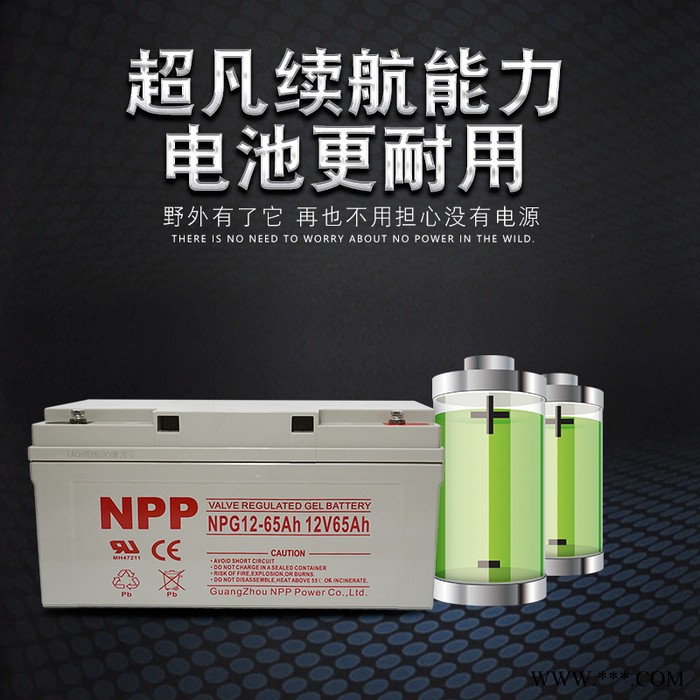 npp耐普npp12-65ah 太阳能蓄电池