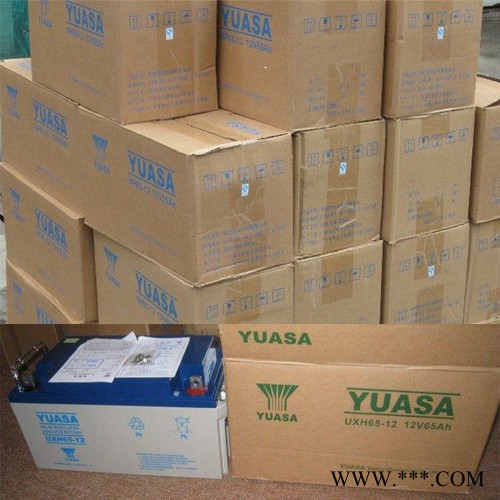 汤浅免维护铅酸蓄电池 YUASA NP65-12 12V65AH 蓄电池 UPS蓄电池 UPS电源直流屏太阳能专用电瓶