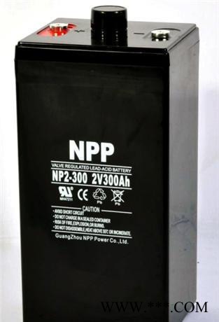 耐普蓄电池NP2-3000太阳能UPS,EPS铅酸免维护2V