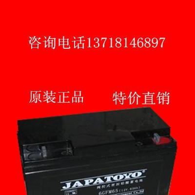 东洋蓄电池12V65AH 6GFM65 太阳能阀空UPS电源