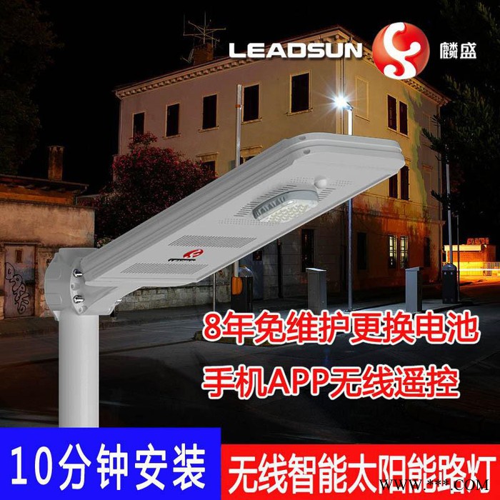 LEADSUN/麟盛 一体化太阳能路灯 街道小区道路照明太阳能一体灯 锂电池LED智能感应灯