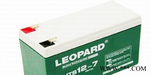 LEOPARD美洲豹蓄电池HTS12-200 LEOPARD蓄电池 铅酸免维护蓄电池 太阳能蓄电池 风力发电储备电源图2