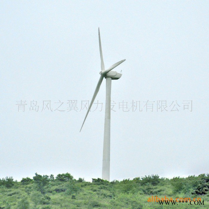 风力发电机，青岛风之翼小型可并网50KW风力发电机图2