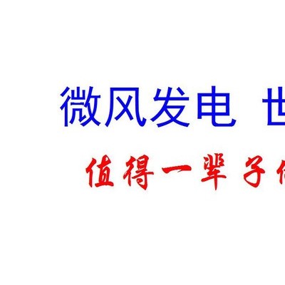 风力发电机 高性能涡轮式风力发电机 微风发电机 24小时连续发电 小型风力发电机 大型风力发电机 兆瓦级风机 风电投资