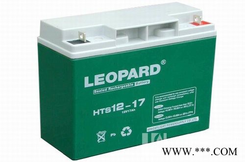 LEOPARD美洲豹蓄电池HTS12-65 LEOPARD蓄电池 铅酸免维护蓄电池 太阳能蓄电池 风力发电储备电源图7