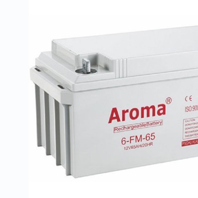 华龙AROMA蓄电池6-FM-20/12V20AH 铅酸免维护蓄电池 UPS/EPS不间断电源 风力发电储备电源