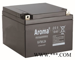 华龙AROMA蓄电池6-FM-20/12V20AH 铅酸免维护蓄电池 UPS/EPS不间断电源 风力发电储备电源图8