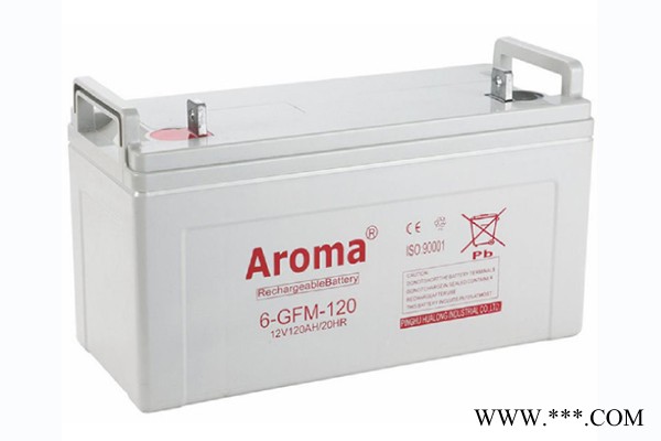 华龙AROMA蓄电池6-FM-20/12V20AH 铅酸免维护蓄电池 UPS/EPS不间断电源 风力发电储备电源图4