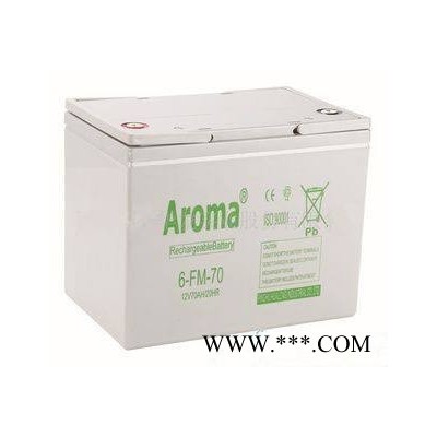 华龙AROMA蓄电池6-FM-40/12V40AH 铅酸免维护蓄电池 UPS/EPS不间断电源 风力发电储备电源