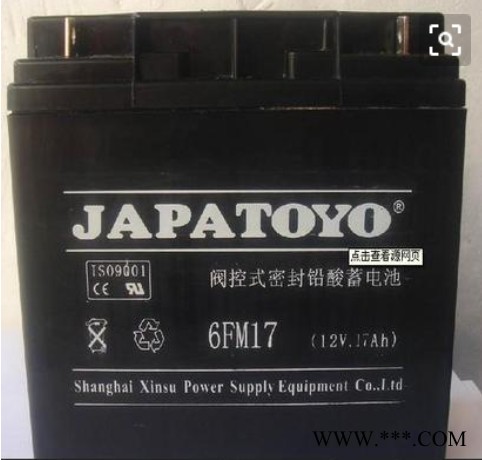 东洋JAPATOYO蓄电池 6GFM65/12V65AH 阀控式密封蓄电池 UPS不间断电源太阳能风力发电储备电源图5