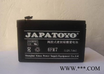 东洋JAPATOYO蓄电池 6GFM65/12V65AH 阀控式密封蓄电池 UPS不间断电源太阳能风力发电储备电源图6