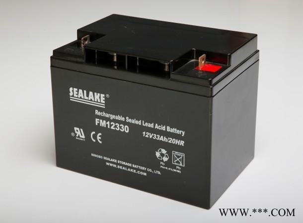 海湖SEALAKE蓄电池FM12750/12V75AH UPS蓄电池 风力发电 太阳能储备电源 消防机房应急电源图3